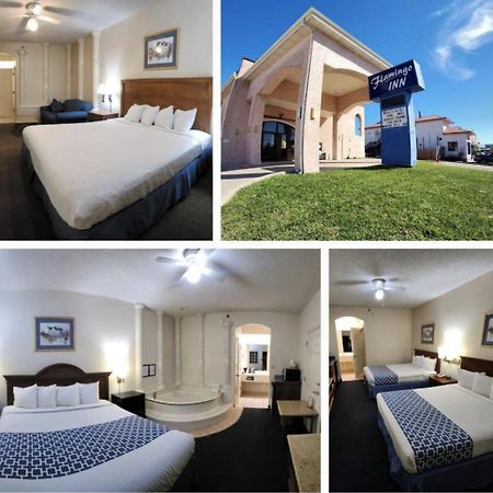 The Flamingo - South Padre Island Hotel Eksteriør billede