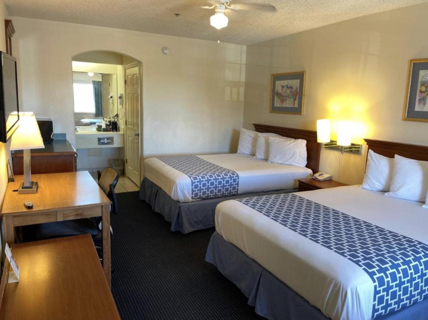 The Flamingo - South Padre Island Hotel Eksteriør billede