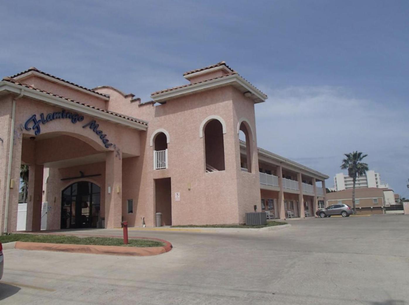 The Flamingo - South Padre Island Hotel Eksteriør billede